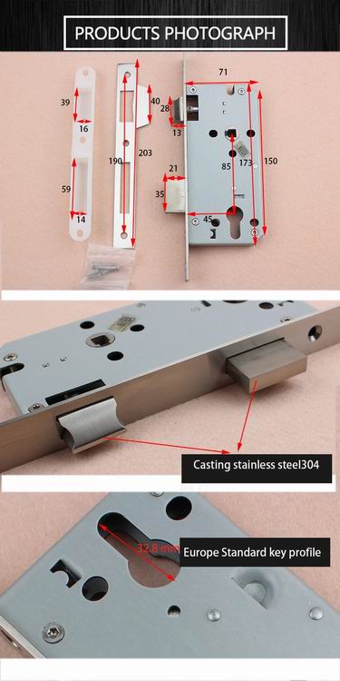 45/50/55/60/70mm Backset Mortise Door Lock Body,body lock